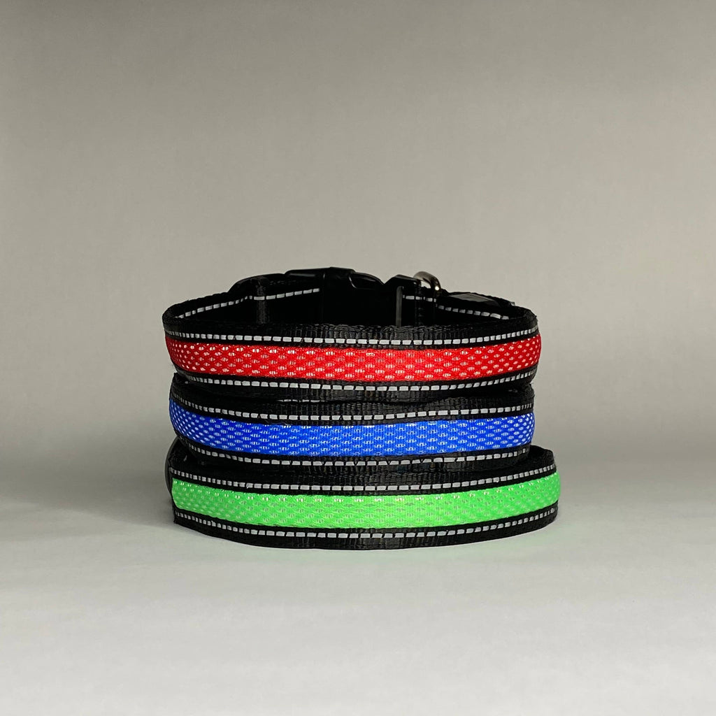 LED Dog Collar: Blue