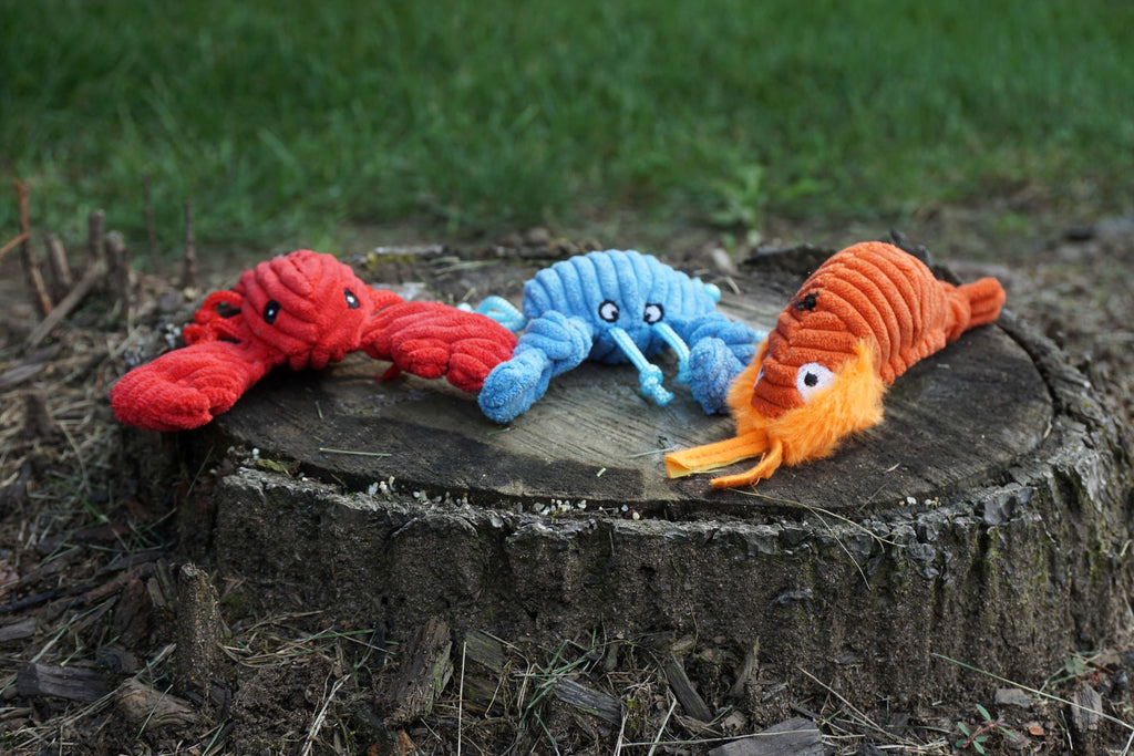Raw Bar Wee Huggles® Plush Dog Toys, 3 pack