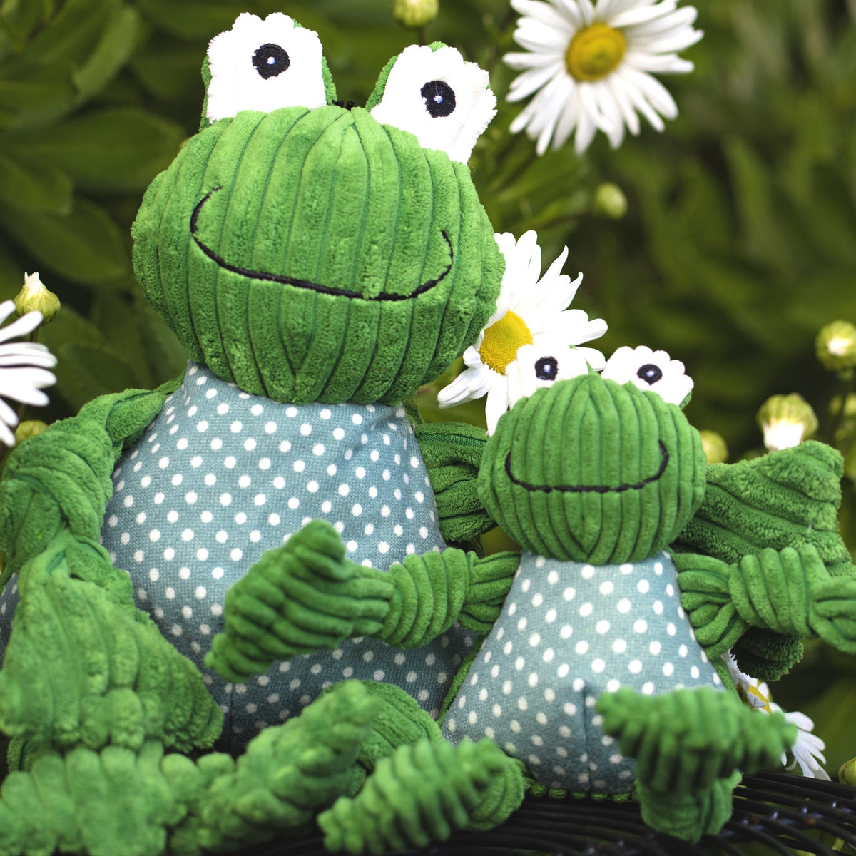 Fergie Frog Knottie® Plush Dog Toy