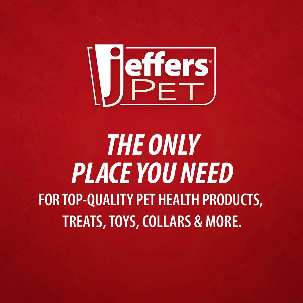 Jeffers Pet Christmas Characters Unstuffed Plush Squeaker Dog Toys, 12 inch
