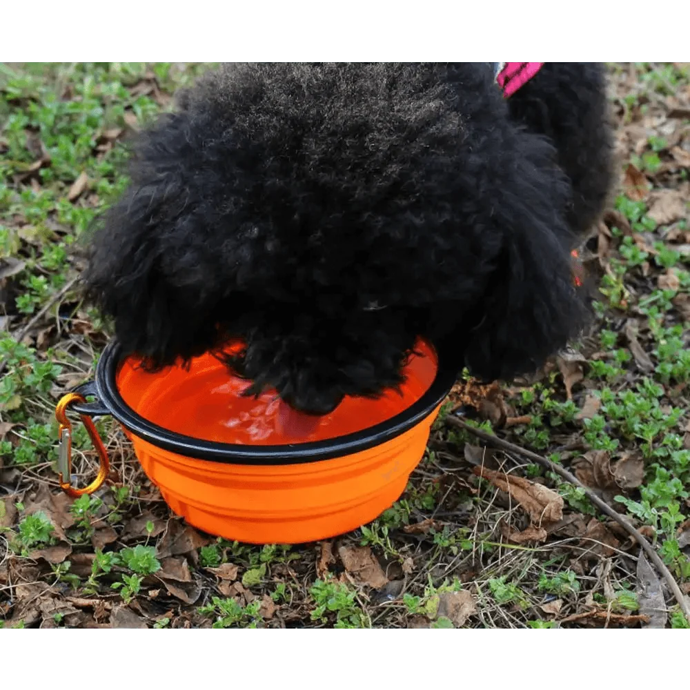 Universal Colorful Collapsible Silicone Dog Food Water Bowl Foldable Cup Dish For Pet Portable Travel Bowl For Dog